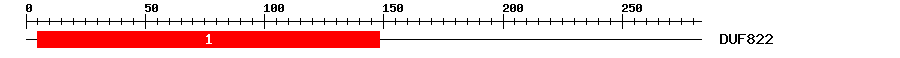 Signature Domain