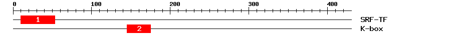 Signature Domain