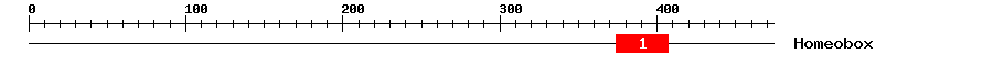 Signature Domain