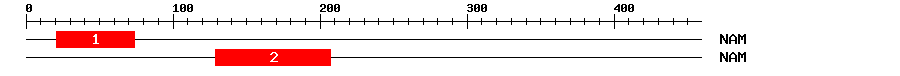Signature Domain