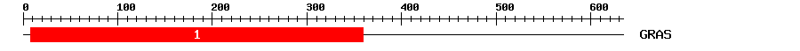 Signature Domain