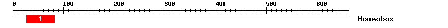 Signature Domain