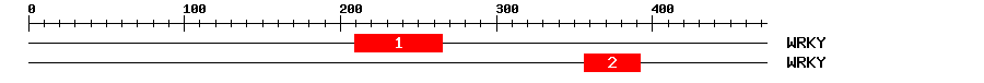 Signature Domain