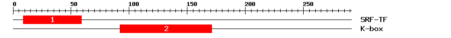 Signature Domain