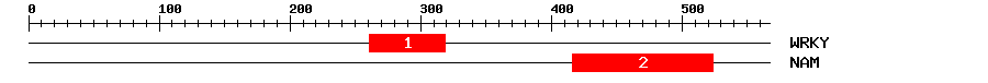 Signature Domain
