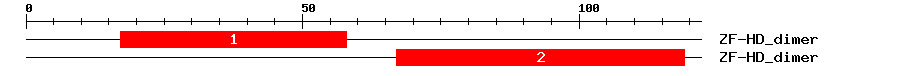 Signature Domain