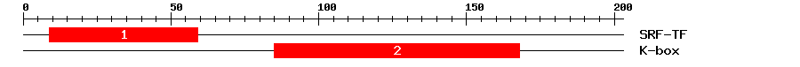 Signature Domain