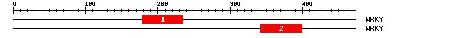 Signature Domain