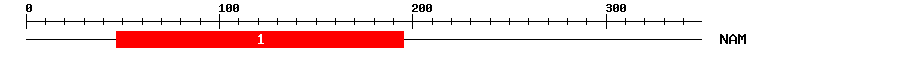 Signature Domain