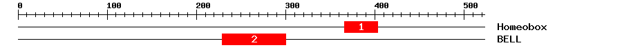 Signature Domain