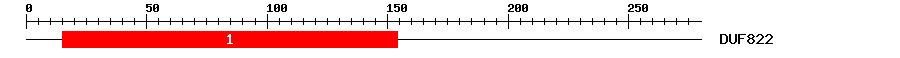 Signature Domain