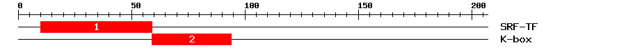 Signature Domain