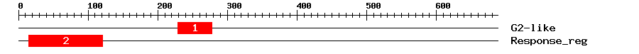 Signature Domain