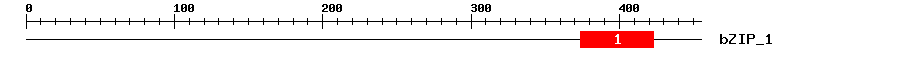Signature Domain