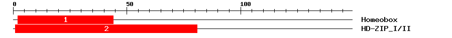 Signature Domain