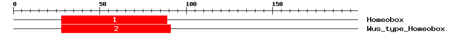 Signature Domain
