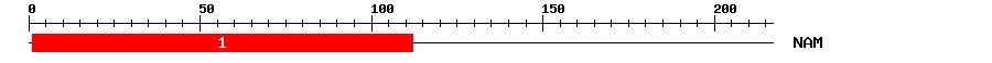 Signature Domain