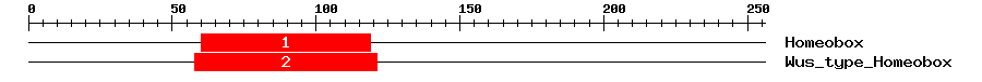 Signature Domain