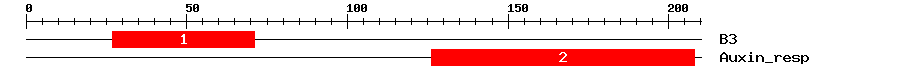 Signature Domain