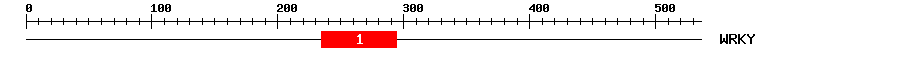 Signature Domain