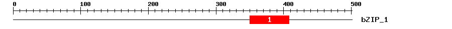 Signature Domain