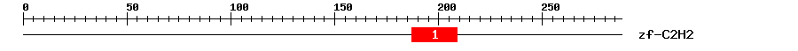 Signature Domain