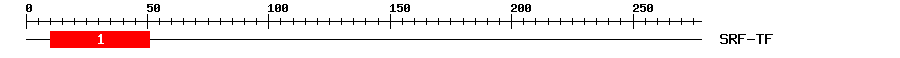 Signature Domain