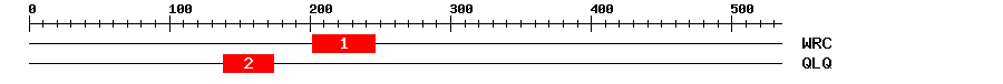 Signature Domain