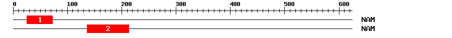Signature Domain