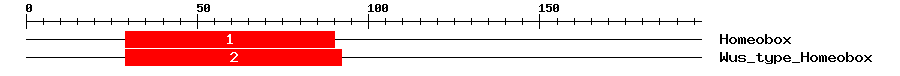 Signature Domain