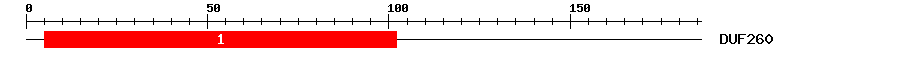 Signature Domain