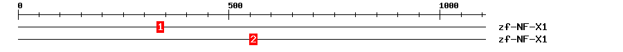 Signature Domain