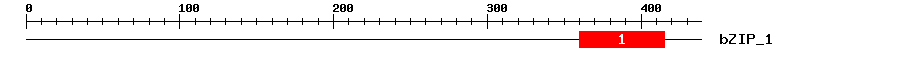 Signature Domain