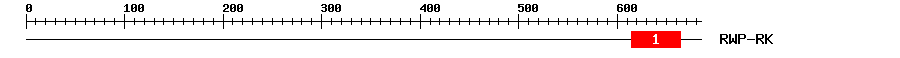 Signature Domain