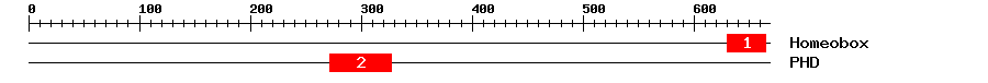 Signature Domain