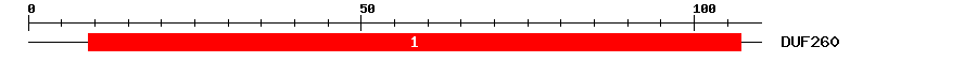 Signature Domain