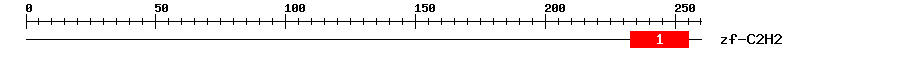 Signature Domain