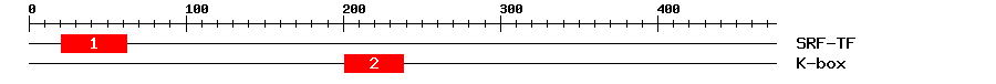 Signature Domain