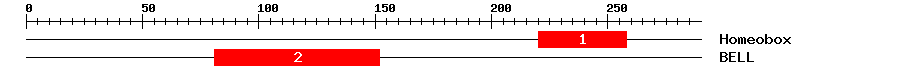 Signature Domain