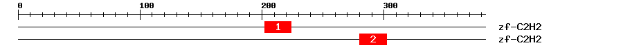Signature Domain