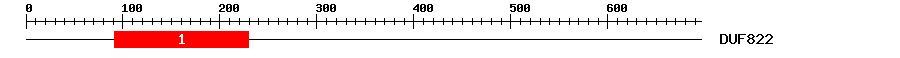 Signature Domain