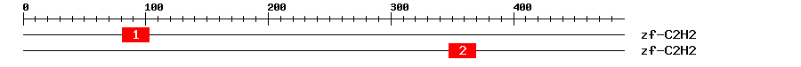 Signature Domain