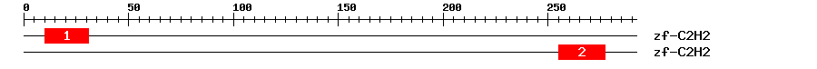 Signature Domain