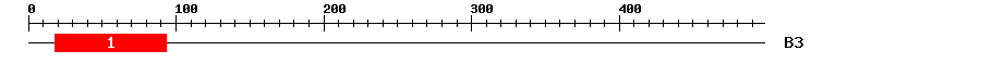Signature Domain