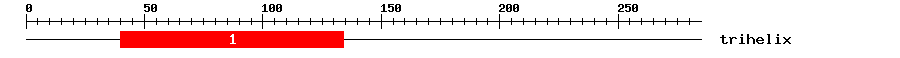 Signature Domain
