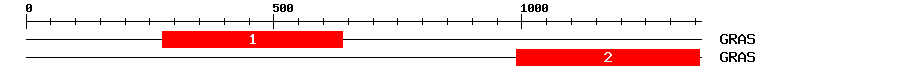 Signature Domain