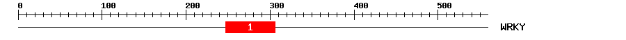 Signature Domain