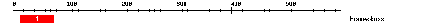Signature Domain