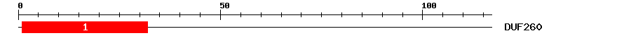 Signature Domain