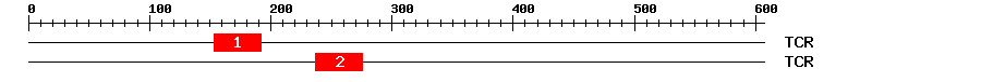 Signature Domain